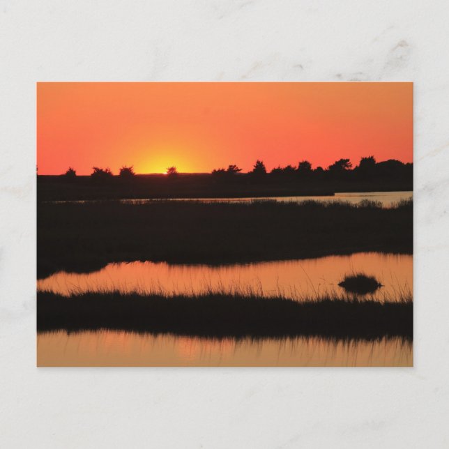Carte Postale Marais de South Cape Beach au Sunset Mashpee Cape  (Devant)