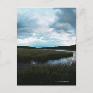 Carte Postale Marais salé