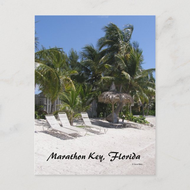 Carte Postale Marathon Key, Floride (Devant)