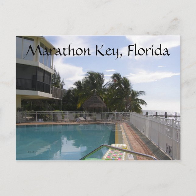Carte Postale Marathon Key, Floride (Devant)