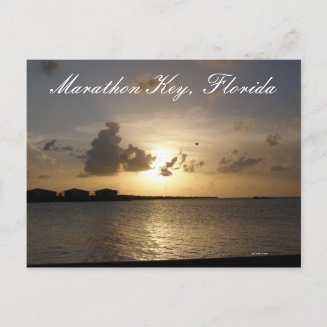 Carte Postale Marathon Key, Floride (Devant)