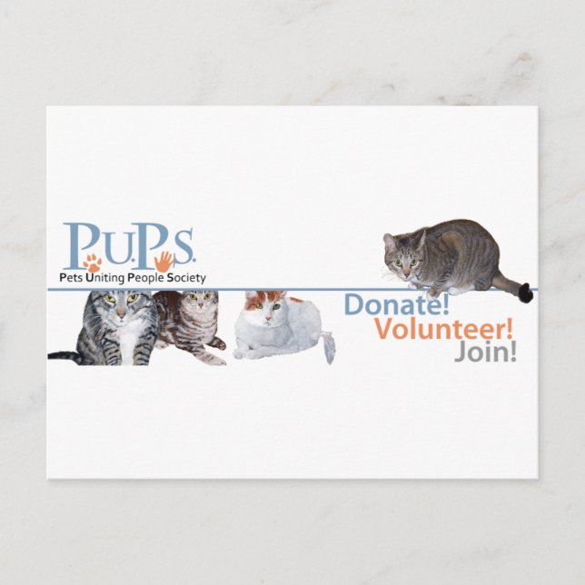 Carte Postale Marchandise de logo de PUPs avec des chats (Devant)