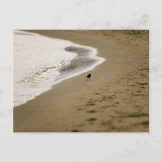 Carte Postale Marche