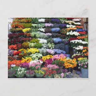 Carte Postale Marché aux fleurs
