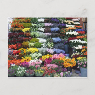 Carte Postale Marché aux fleurs