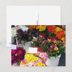 Carte postale - Marché aux fleurs