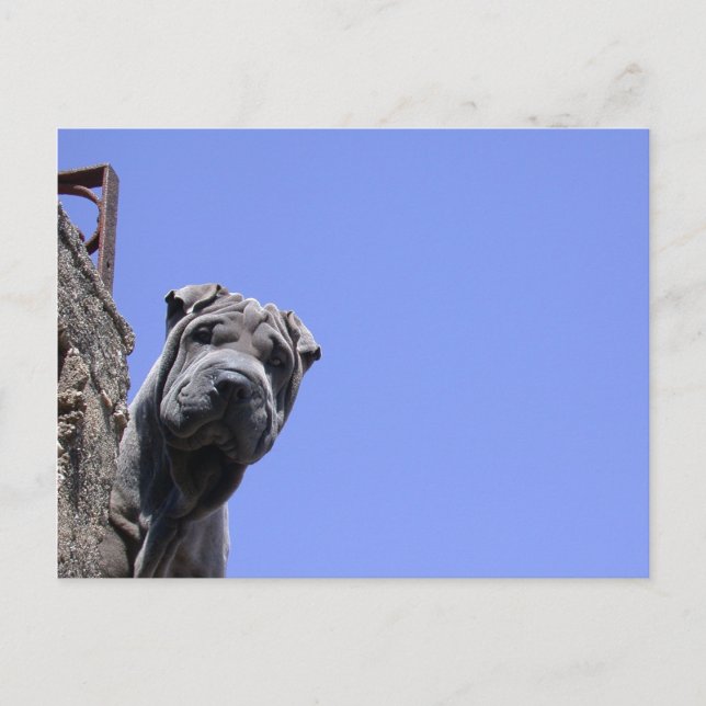 Carte Postale Marché aux puces (Devant)