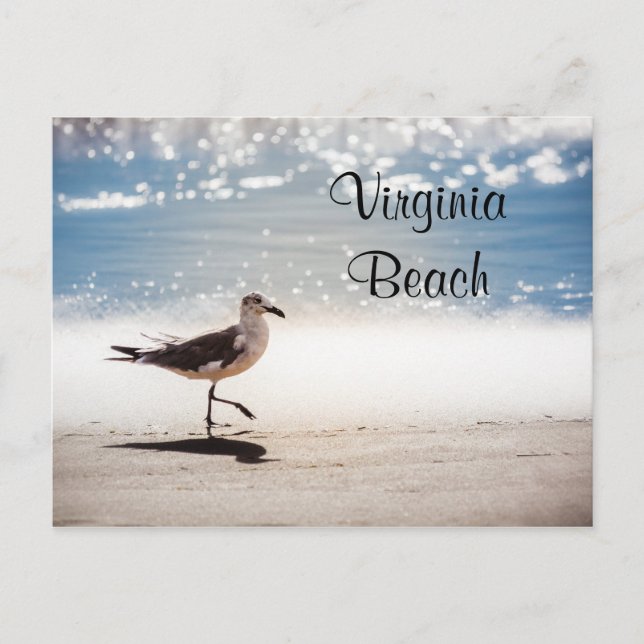 Carte Postale Marche de mouettes sur Virginia Beach (Devant)