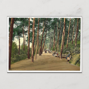 Carte Postale Marche des Invalidés, Bournemouth, Angleterre Phot