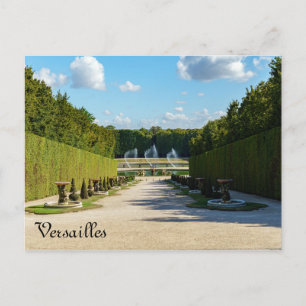 Carte Postale Marche des Marmousets dans les jardins de Versaill