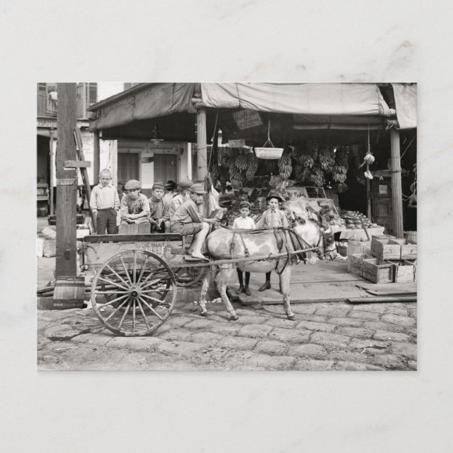 Carte Postale Marché du Vieux Quartier Français (Devant)