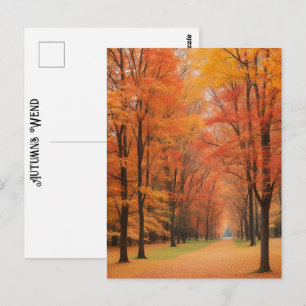 Carte Postale Marcher Dans Un Parc Automnes Colorés Wend Art Int