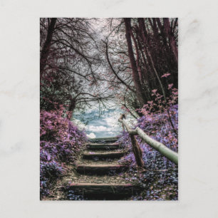 Carte Postale Marches de la forêt de fantaisie