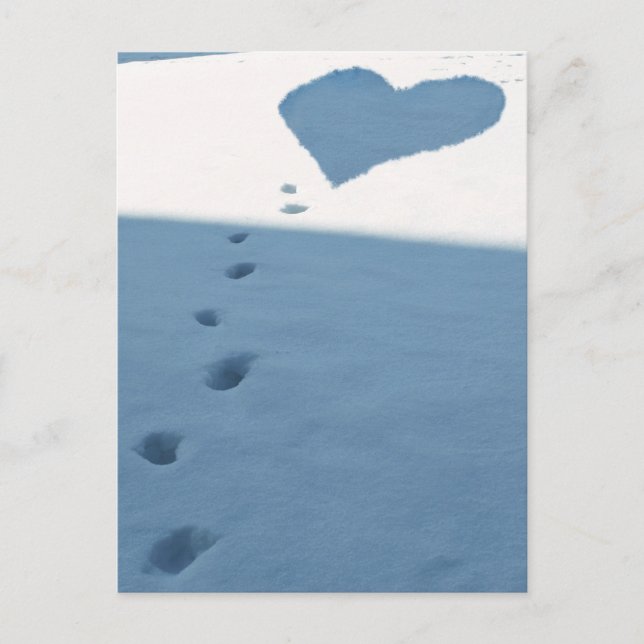 Carte Postale Marches De Neige (Devant)