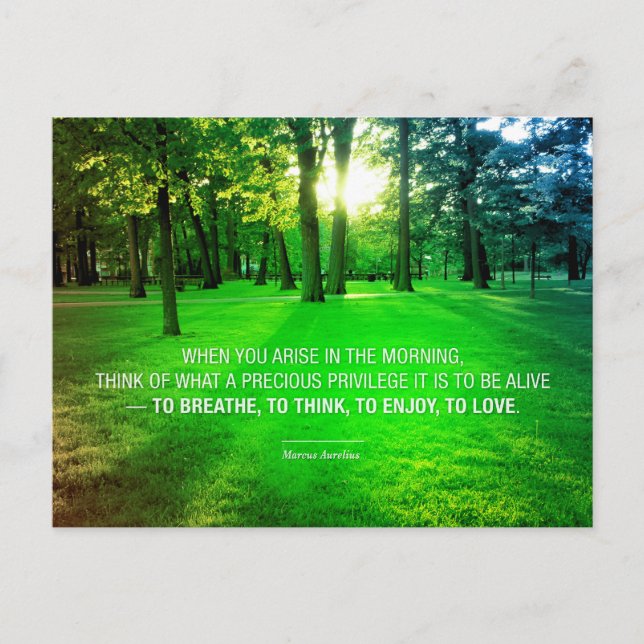 Carte Postale Marcus Aurelius Vie Stoic Privilege citation Vie (Devant)