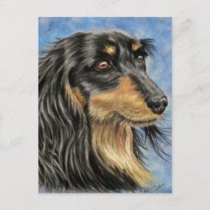 Carte Postale Marcus - Long Haired Dachshund Art
