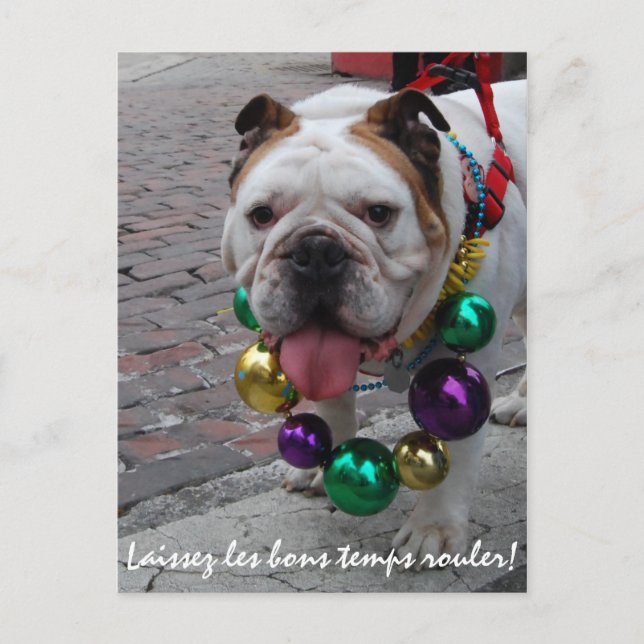 Carte Postale Mardi Gras Bulldog (Devant)