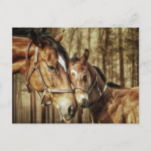 Carte Postale Mare and Foal - Horse Love Art Postcard