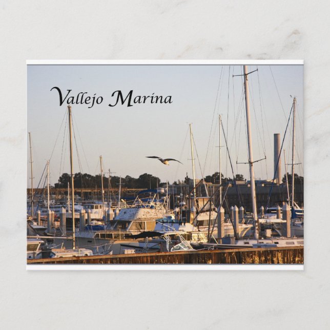 Carte Postale Mare Island et Vallejo Marina (Devant)
