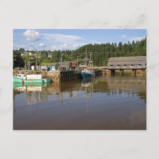 Carte Postale Marée moyenne dans la baie de Fundy à St. Martins, (Devant)