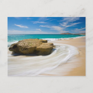 Carte Postale Marée océanique tourbillonne sur la plage