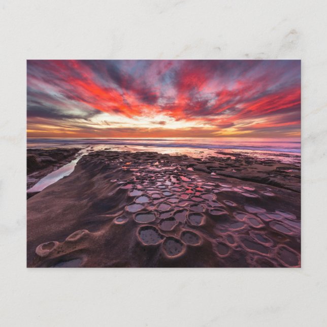 Carte Postale Mares résiduelles à La Jolla, Californie (Devant)