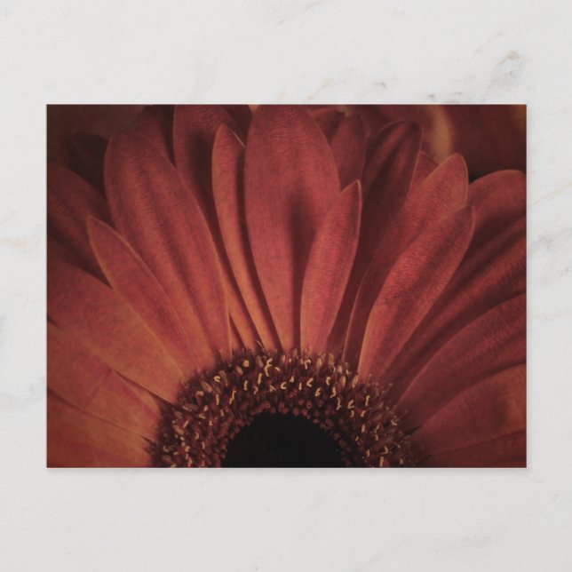 Carte Postale marguerite Abstraite (Devant)