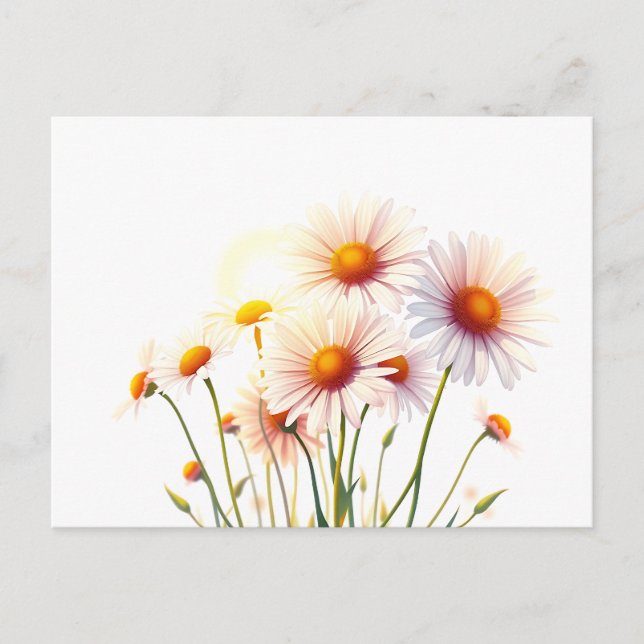Carte Postale Marguerites aquarelles vibrantes à l'heure dorée (Devant)