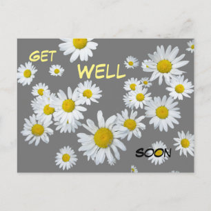 Carte postale Marguerites blanches couleur personn