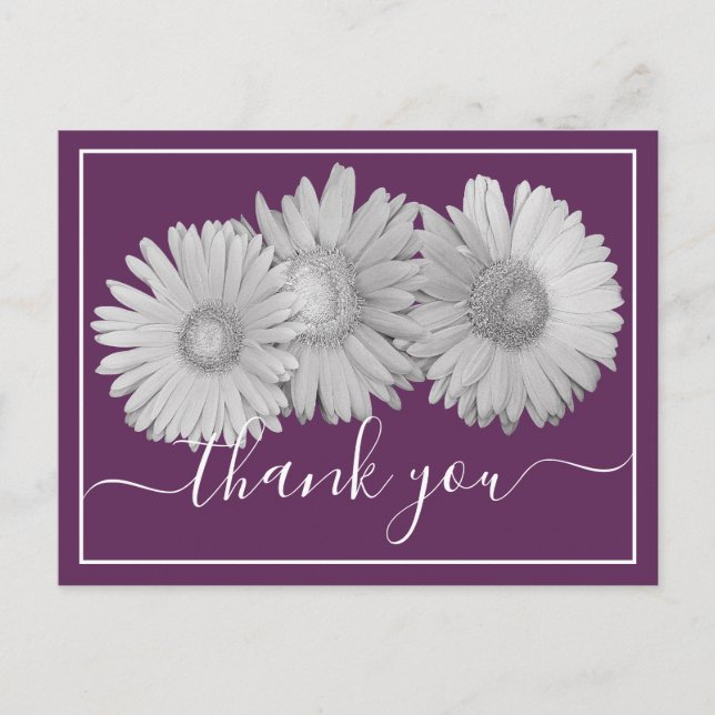 Carte Postale Marguerites de Gerbera Fond Violet Merci (Devant)