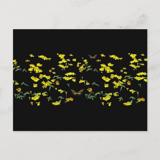 Carte Postale Marguerites jaunes (Devant)
