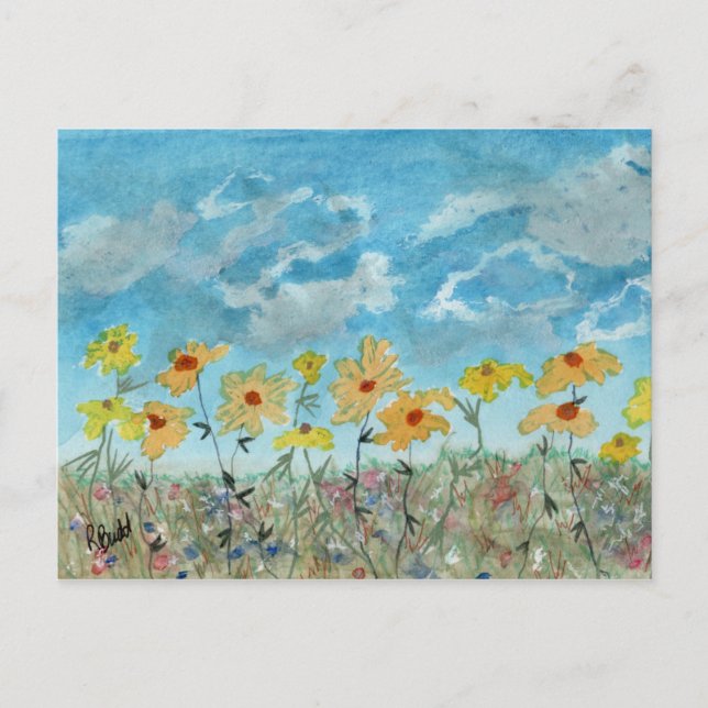 Carte Postale Marguerites & Nuages (Devant)