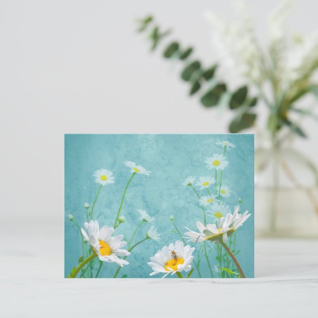 Carte Postale Marguerites sur fond bleu (Debout devant)