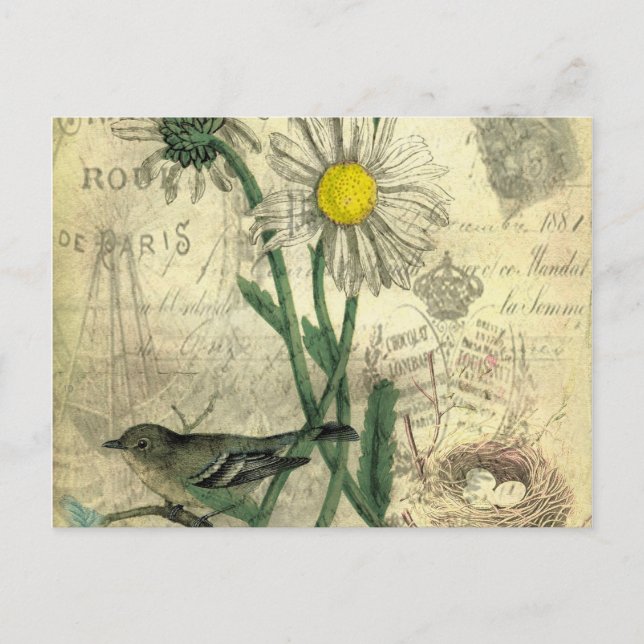 Carte Postale Marguerites vintage (Devant)