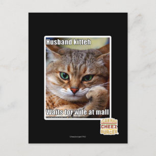 Carte Postale Mari Kitteh