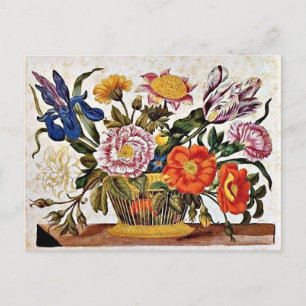 Carte Postale Maria Sibylla Merian - De der Raupen Wunderbare