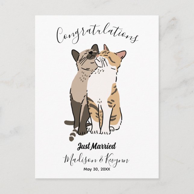 Carte Postale Mariage chats mignons (Devant)