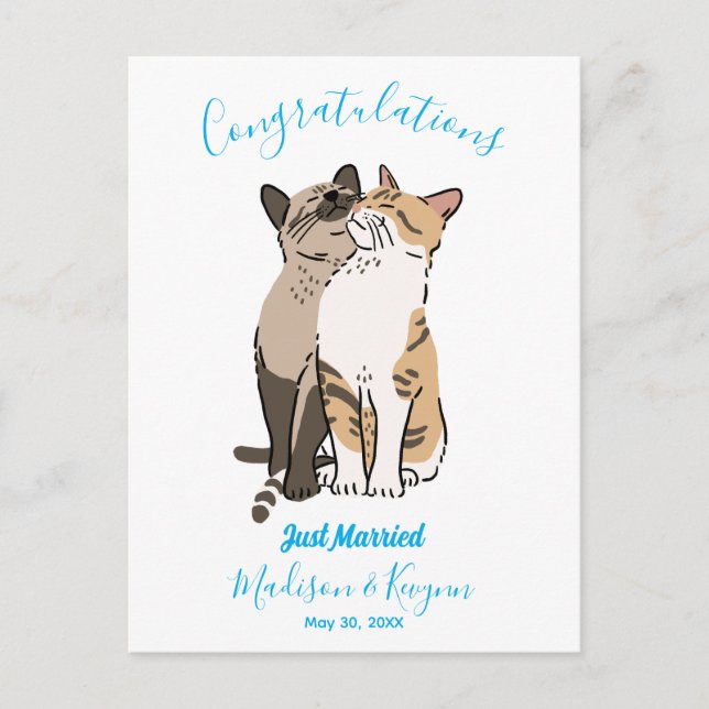 Carte Postale Mariage de Chats Mignons (Devant)