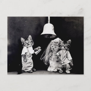 Carte Postale Mariage de Chatte