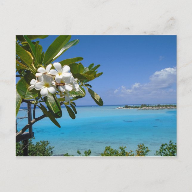 Carte Postale Mariage plage Ocean Tahiti Fleurs (Devant)