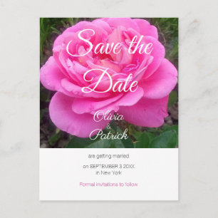 Carte Postale Mariage rose romantique Sauvez la date