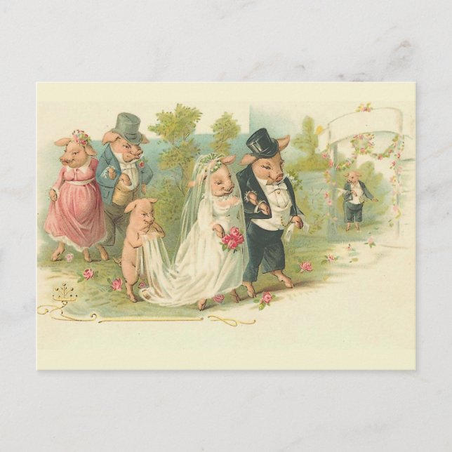Carte Postale Mariage vintage de porcs (Devant)