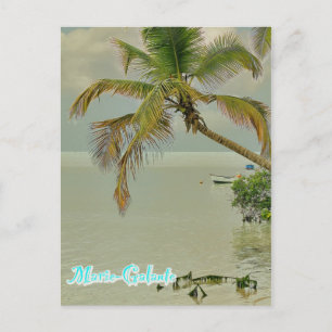 Carte Postale Marie-Galante, plage
