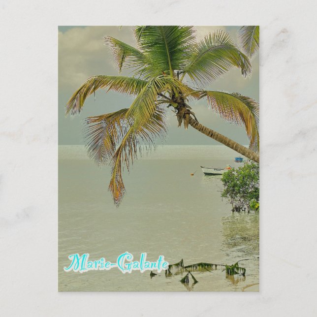 Carte Postale Marie-Galante, plage (Devant)