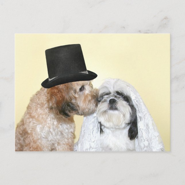 Carte Postale Mariée et fille de Canine (Devant)
