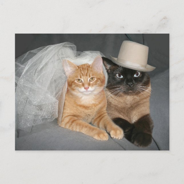 Carte Postale Mariée et fille Kitty (Devant)