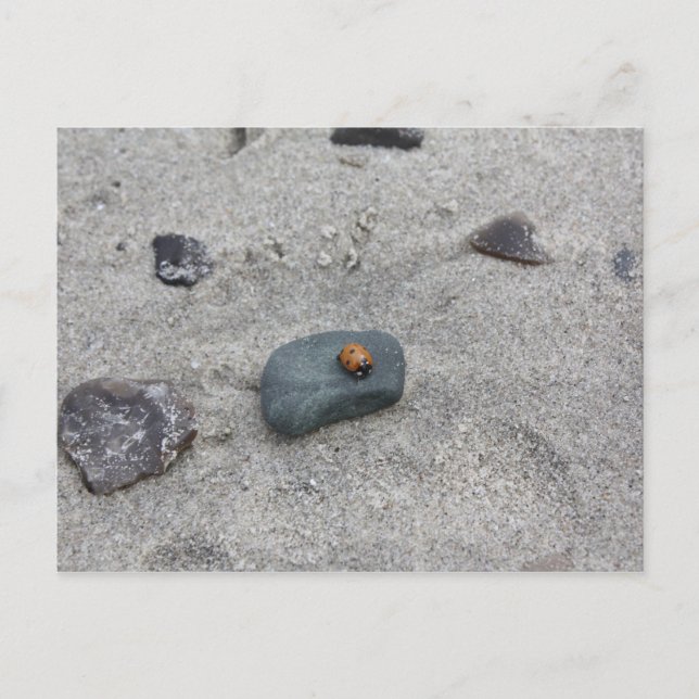 Carte Postale Marienkäfer Strand (Devant)