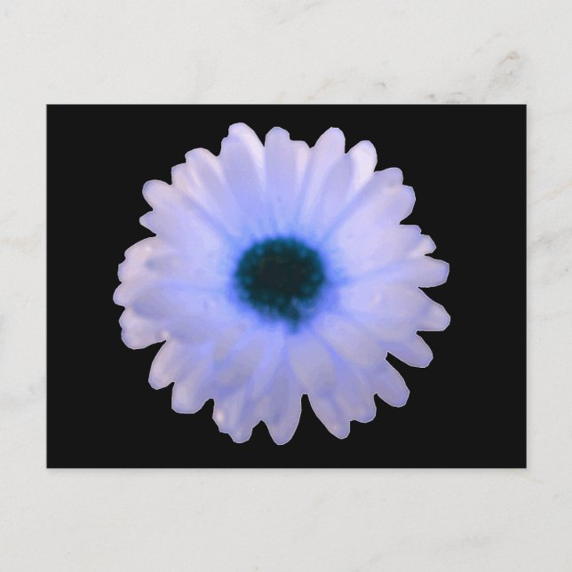 Carte postale Marigold blanc et bleu (Devant)