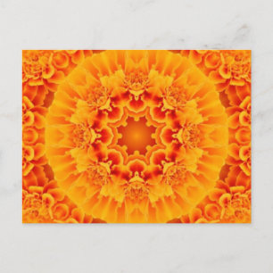 Carte Postale Marigold Mandala
