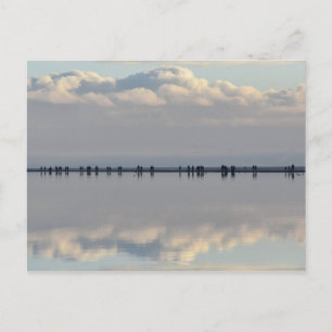 Carte Postale Marina de West Kirby